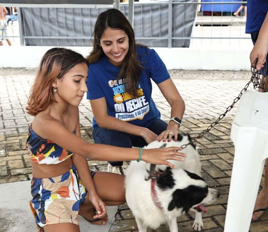 Outubro Rosa Pet C Mara Do Recife Aprova Projeto De Lei Que Institui