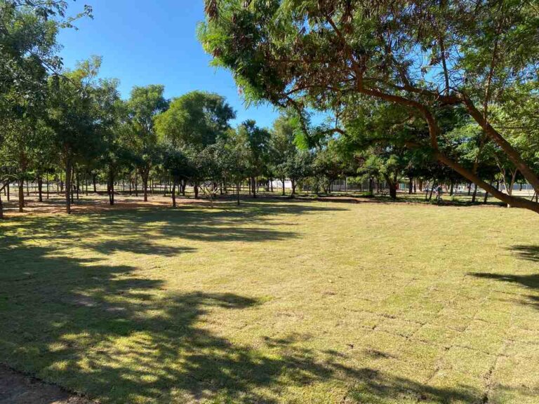 Parque Municipal Josepha Coelho Ganha Nova área De Lazer Para 